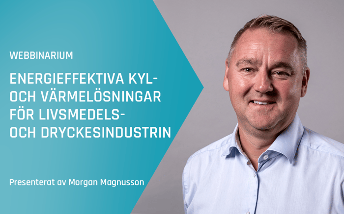 Morgan Magnusson
